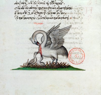 Paní 3401 Pelikán si propíchá prsa, aby nakrmil mláďata, z Bestiáře od Manuela Philese, 1566 od Greek School
