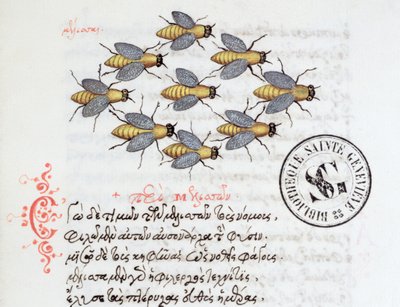 Ms 3402 Bees, z Bestiáře od Manuela Philese, 1566 od Greek School