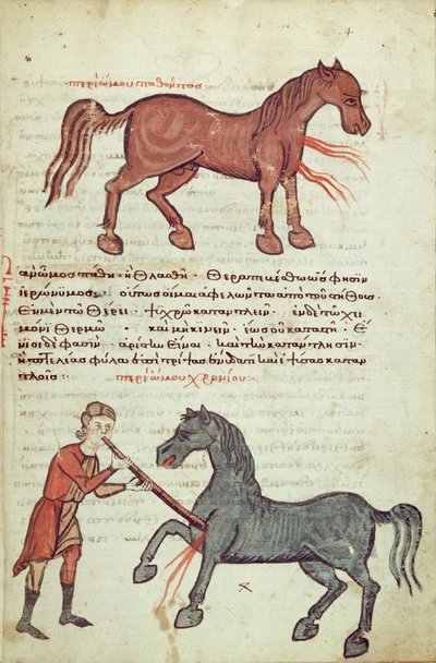 Ms Grec 2244 fol.4 Operace na koni od Greek School