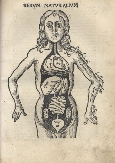 Margarita Filosofická Anatomie, 1504 od Gregor Reisch