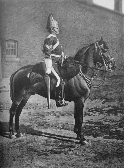 Seržant, 2. dragounská garda Queens Bays, c1880 od Gregory and Co