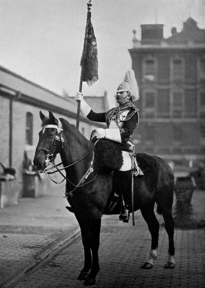Squadron Corporal Major 1. Life Guards se standardem, 1896. od Gregory and Co