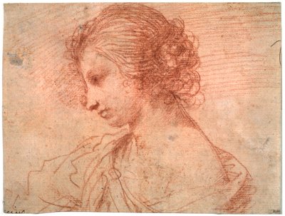 Prsní portrét mladé ženy, 17. století od Guercino