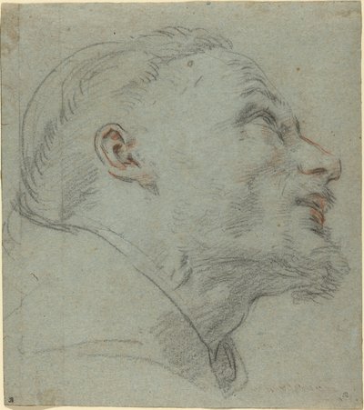 Hlava svatého Františka od Guido Reni