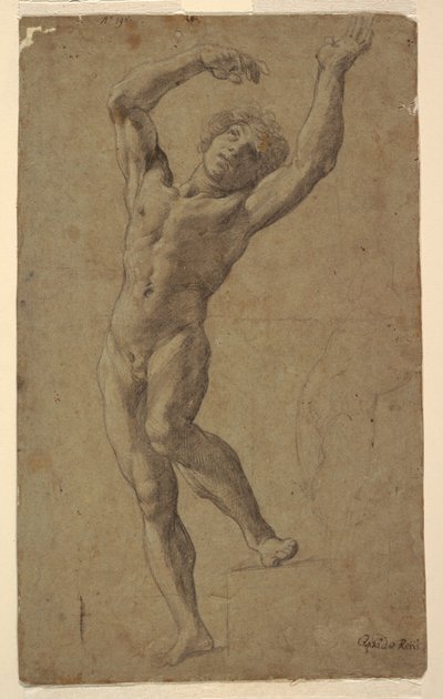 Studium pro St. Sebastian, Pomarici Santomasi Museum, Apulie, Itálie od Guido Reni