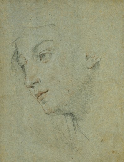 Hlava ženy při pohledu dolů doleva, od Guido Reni