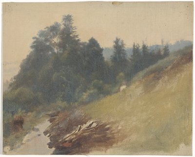 Horský svah s borovicemi od Guillaume Anne van der Brugghen