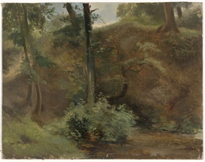 Stromy v krajině dun od Guillaume Anne van der Brugghen