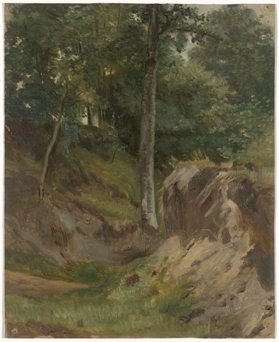 Suchý potok v lese od Guillaume Anne van der Brugghen