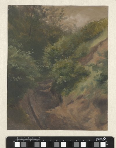 Cesta přes dunu od Guillaume Anne van der Brugghen