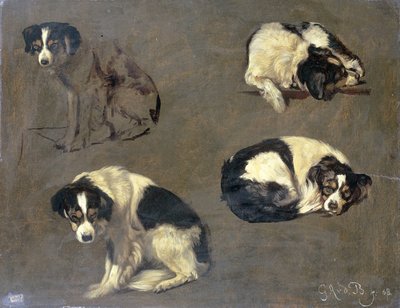 Čtyři studie psa od Guillaume Anne van der Brugghen