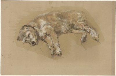 ležícího psa od Guillaume Anne van der Brugghen