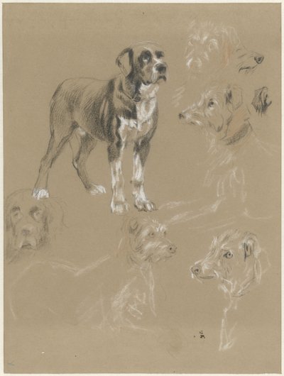 Studie psa od Guillaume Anne van der Brugghen
