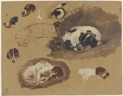 Studie loveckého psa od Guillaume Anne van der Brugghen