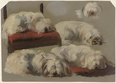 Studie psa s bílým klínem od Guillaume Anne van der Brugghen