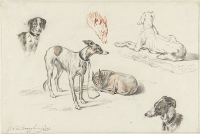 Studie psů od Guillaume Anne van der Brugghen