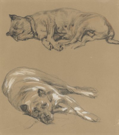 Dvě studie ležícího psa od Guillaume Anne van der Brugghen