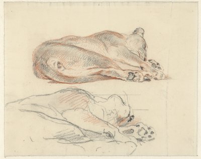 Dvě studie ležícího tygra od Guillaume Anne van der Brugghen