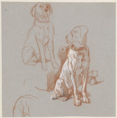 Dvě studie sedícího psa od Guillaume Anne van der Brugghen