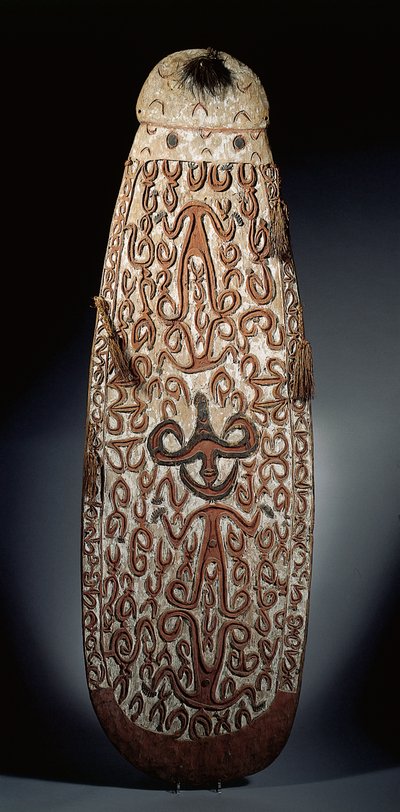 Oválný štít Asmat, vyřezávaný v reliéfu s rolovacím ornamentem zahrnujícím vysoce stylizované postavy, spletené střapce k okraji (dřevo, rafie a peří) od Guinean New