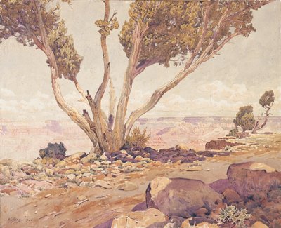 Grand Canyon od Gunnar Widforss