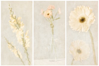 Vybledlý květinový triptych od Gustav Davidsson