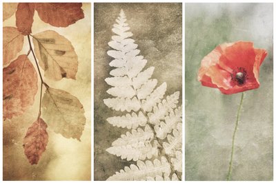 Vintage Nature Trio od Gustav Davidsson