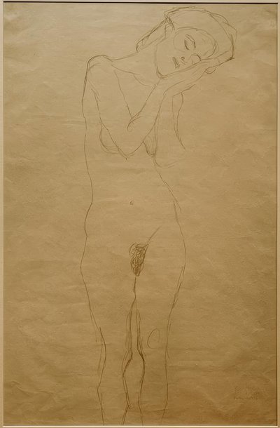 Akt zepředu, ruce na tváři od Gustav Klimt