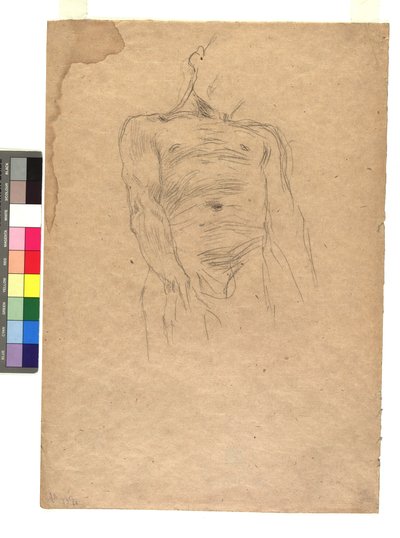 Männlicher Torso od Gustav Klimt