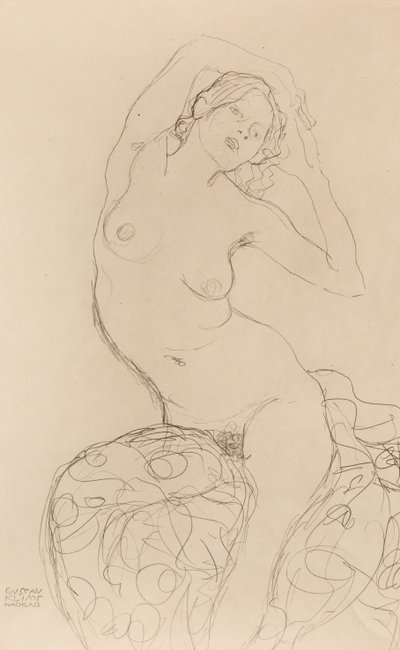 Sedící akt, cca 1914-1916. od Gustav Klimt