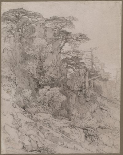 Trees of a Rocky Hillside, pozdní 1800. od Gustave Achille Guillaumet