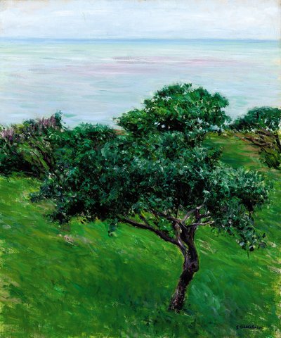 Apple Trees by the Sea, Trouville, 1880 od Gustave Caillebotte
