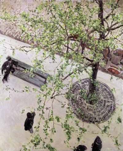 Boulevard při pohledu shora, 1880 od Gustave Caillebotte