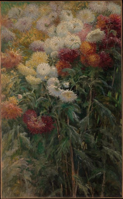 Chryzantémy v zahradě v Petit-Gennevilliers od Gustave Caillebotte