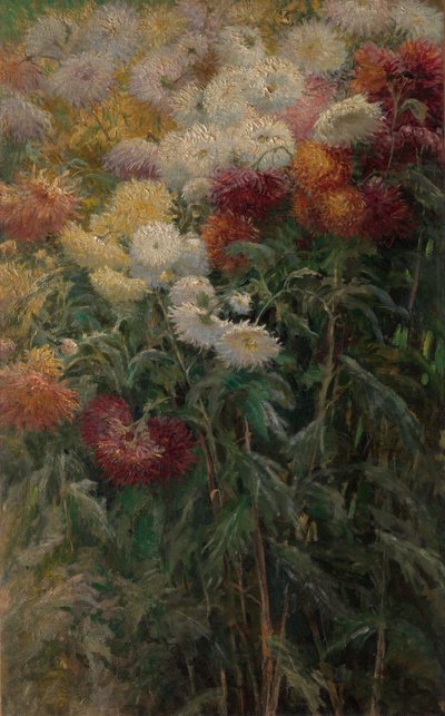 Chryzantémy v zahradě v Petit-Gennevilliers od Gustave Caillebotte