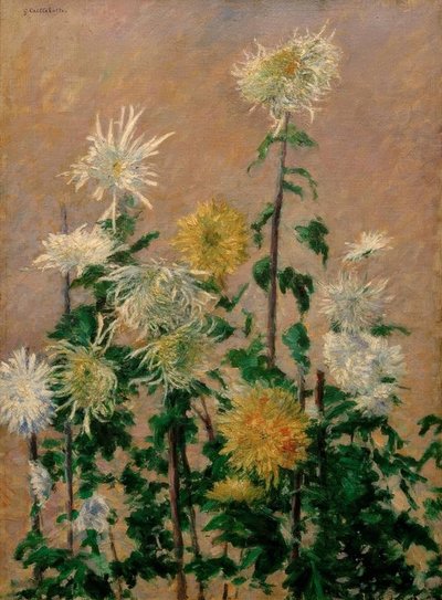 Bílé a žluté chryzantémy od Gustave Caillebotte