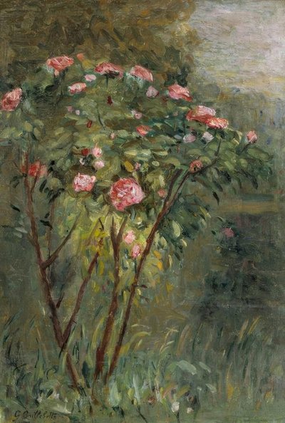 Růžový keř od Gustave Caillebotte