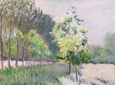 Sad a alej stromů od Gustave Caillebotte