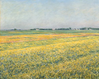 The Plain of Gennevilliers, Yellow Fields; Planina Gennevilliers, žlutá pole, 1884 od Gustave Caillebotte