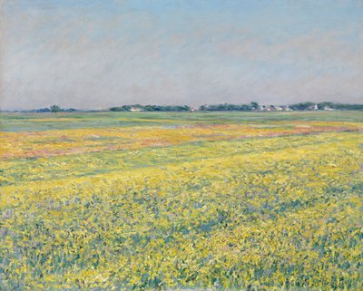 Planina Gennevilliers, žlutá pole od Gustave Caillebotte