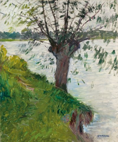 Vrba u řeky; Saule au bord de la riviere, c. 1891 od Gustave Caillebotte