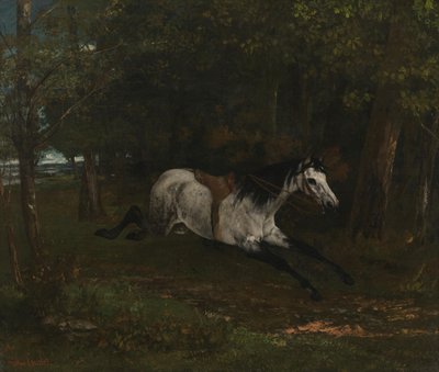 Splašený kůň od Gustave Courbet