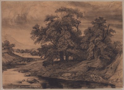 Krajina s velkými stromy od Gustave Courbet