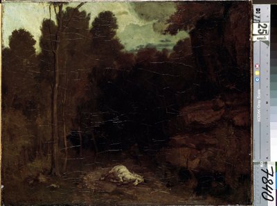 Neznámý obrázek od Gustave Courbet
