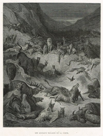 Zvířata nemocná morem od Gustave Dore