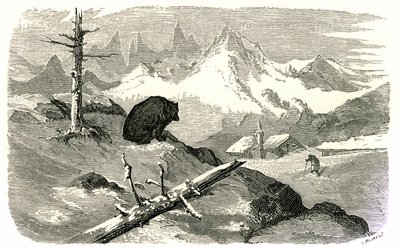 Rytina Gustava Doreho ilustrující knihu "Voyage aux Pyrenees d