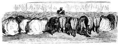 Dějiny Svaté Rusi. Velký ples v Zimním paláci, 1854. od Gustave Dore
