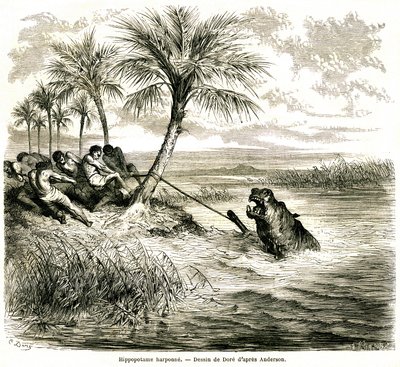 Lov na řece Teoghe, přítoku Ngami. Hroší harpuna. Rytina Gustava Doreho ilustrující "les aventures et chasse du voyageur Charles-Jean Anderson dans l