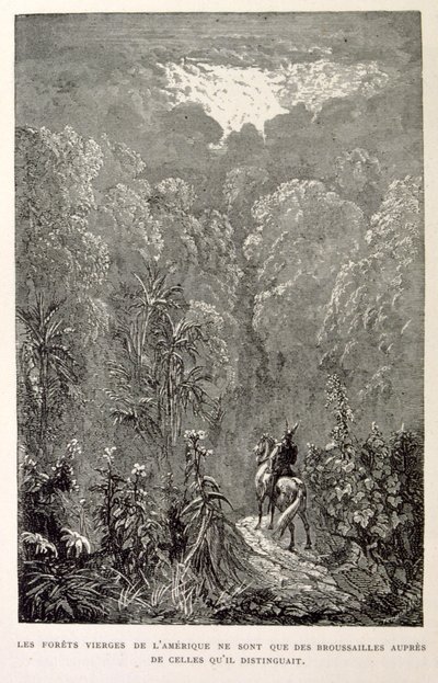 Ilustrace amerického lesa z knihy La legende de Croque-Mitaine. od Gustave Dore