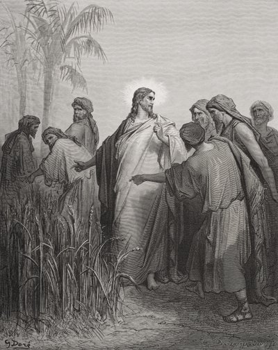 Ježíš a jeho učedníci na kukuřičném poli, ilustrace z Doreovy „Svaté bible“, vyryté Pannemakerem, 1866 od Gustave Dore